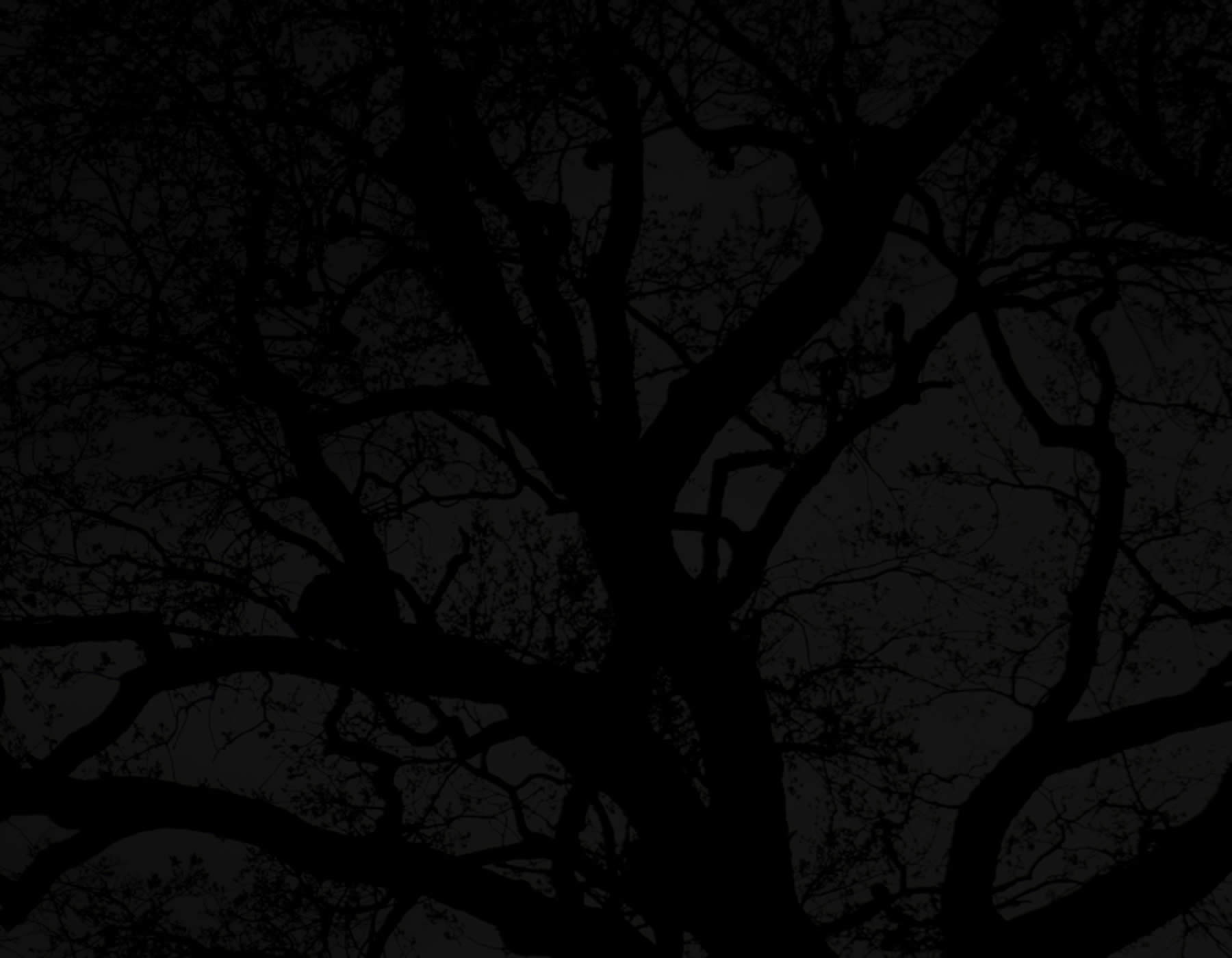 Kinde Design Edinburgh